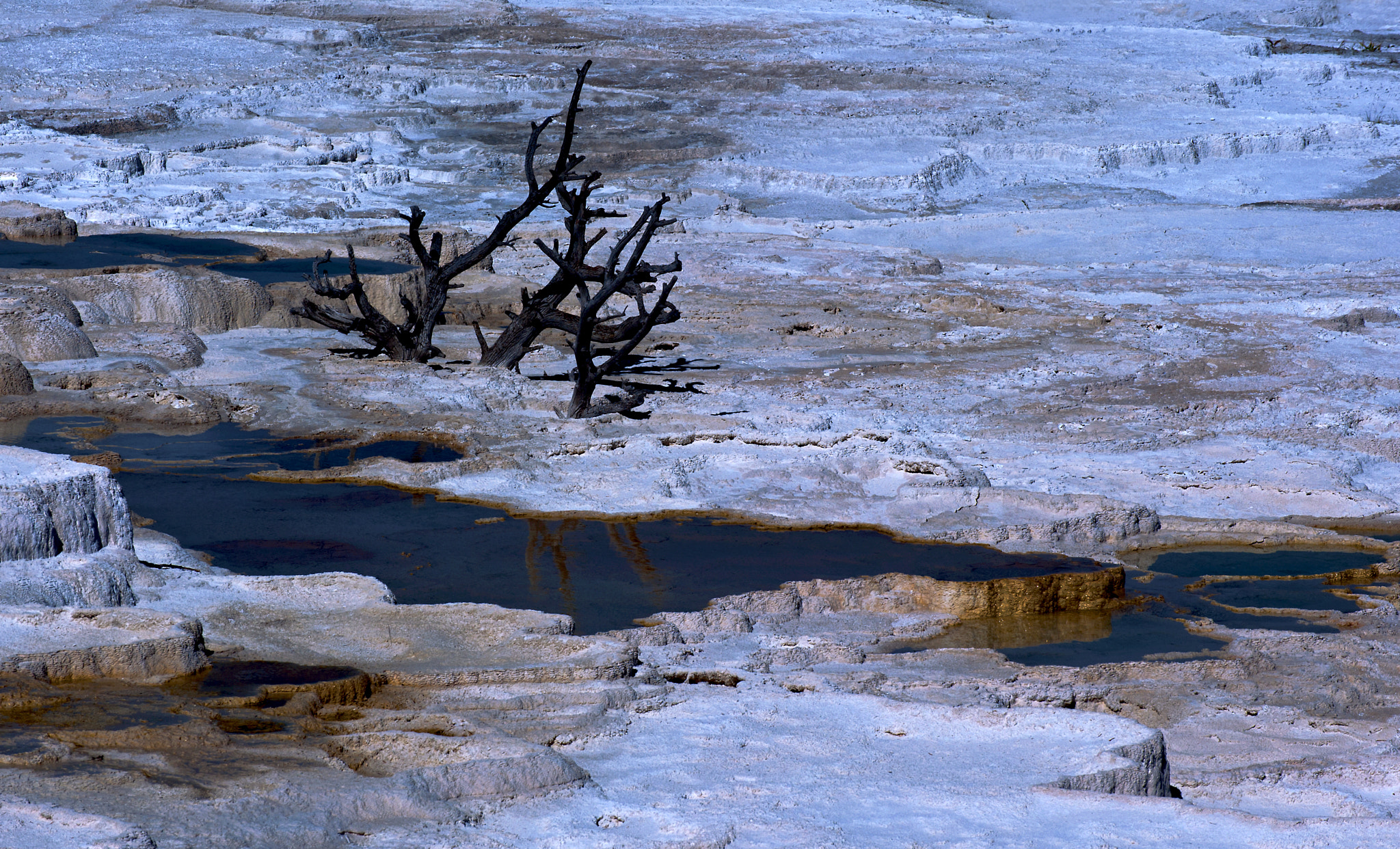 Nikon D700 sample photo. Sinter terraces photography