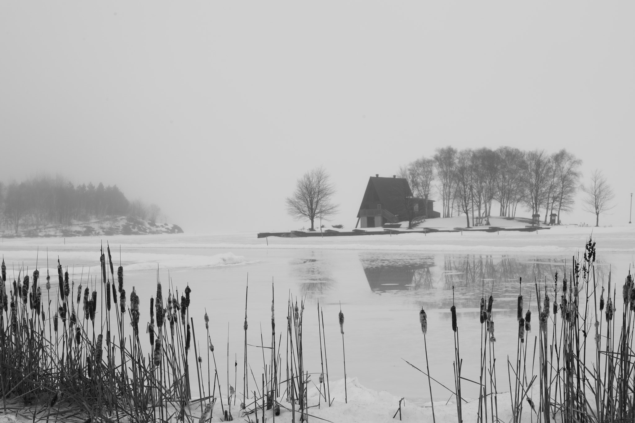 Canon EF 24-105mm F4L IS II USM sample photo. Foggy morning photography