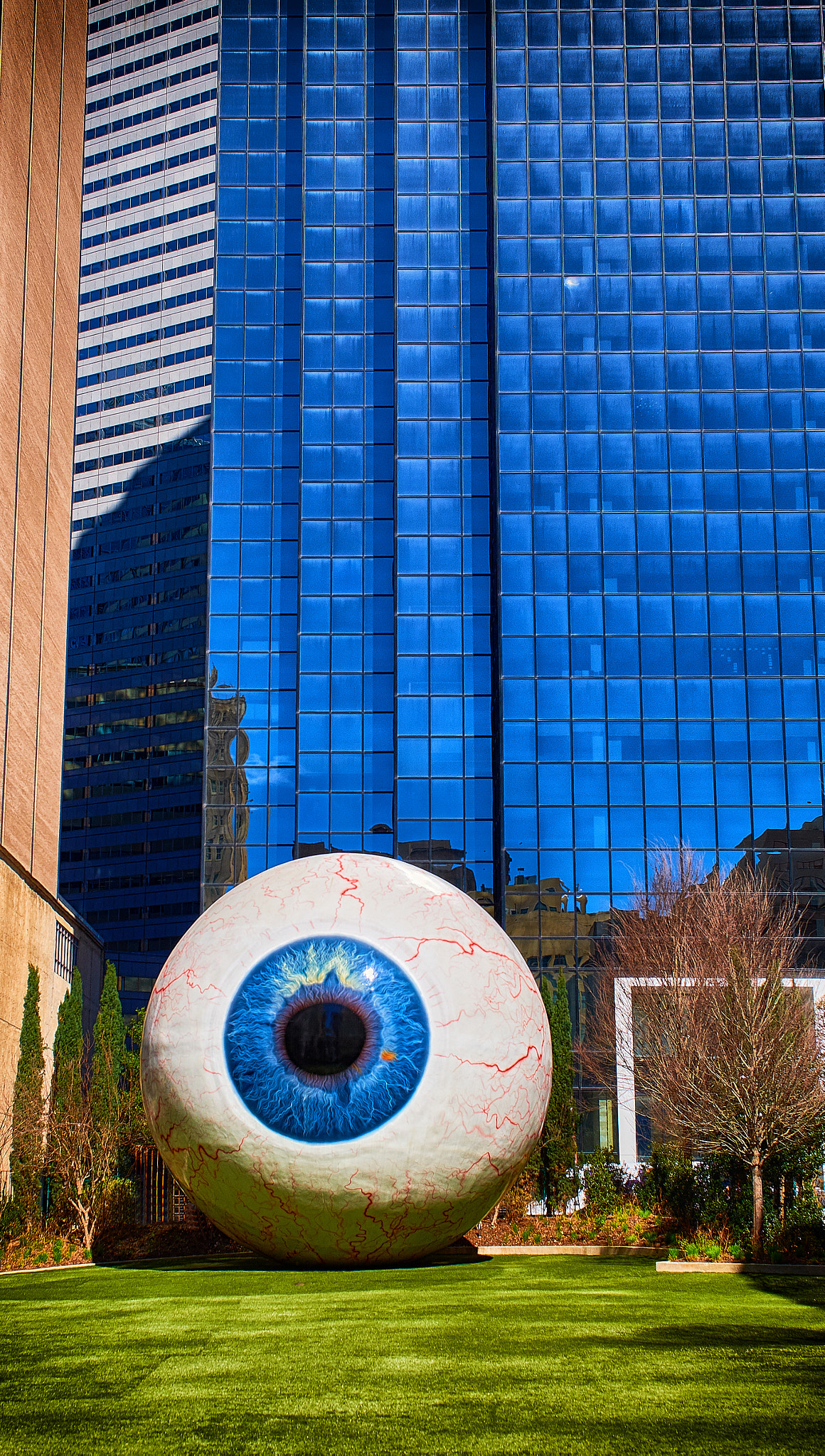 Fujifilm X-T1 + ZEISS Touit 32mm F1.8 sample photo. A big eye in big d photography