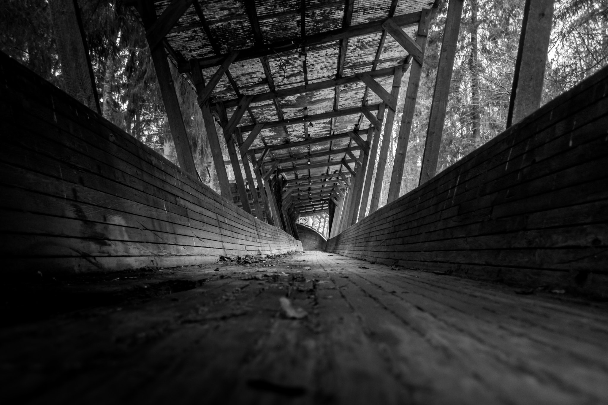 Nikon D5200 sample photo. Abandoned luge track going through the forest photography