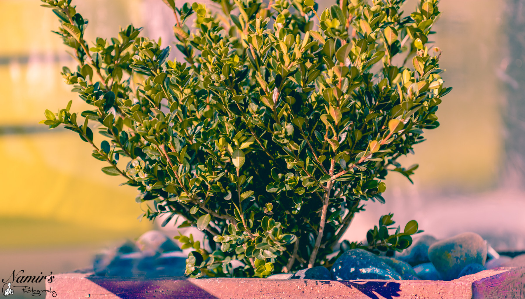 Nikon D500 sample photo. Nature beauty photography