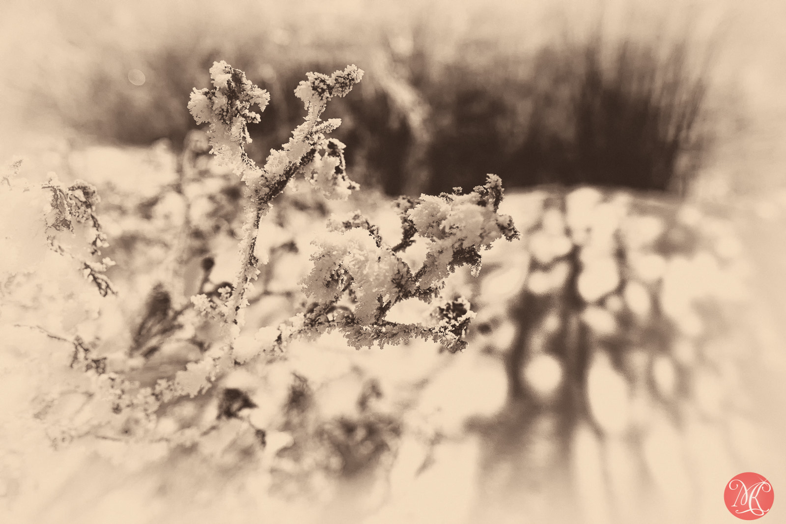 Fujifilm X-T1 + Fujifilm XF 16mm F1.4 R WR sample photo. The world is full of light 2 photography