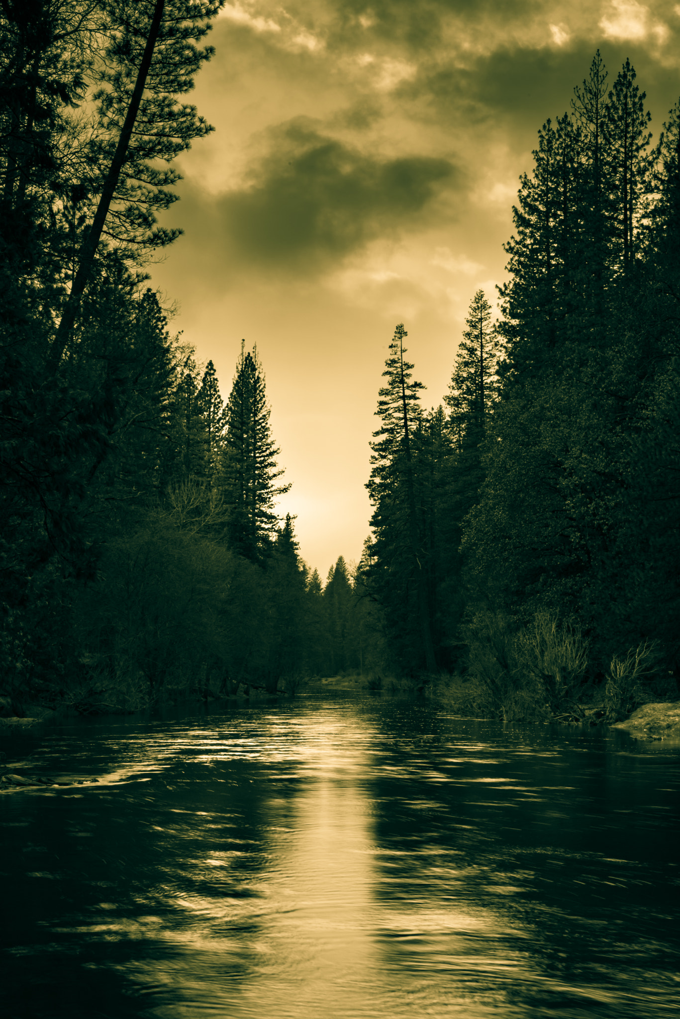 Sigma 18-200mm F3.5-6.3 DC OS HSM sample photo. A tonal merced river photography