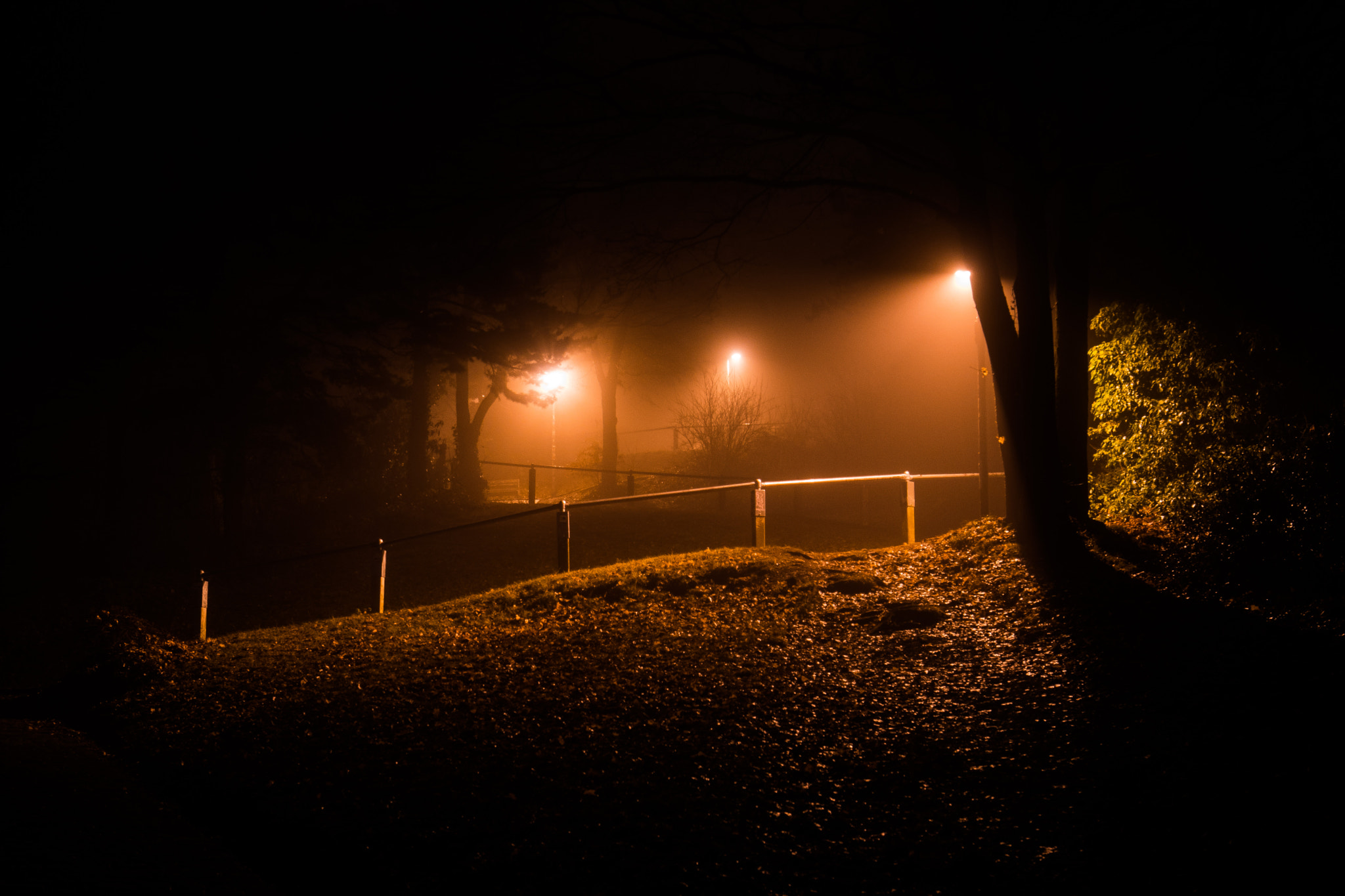 Canon EF 16-35mm F4L IS USM sample photo. Lichtung photography