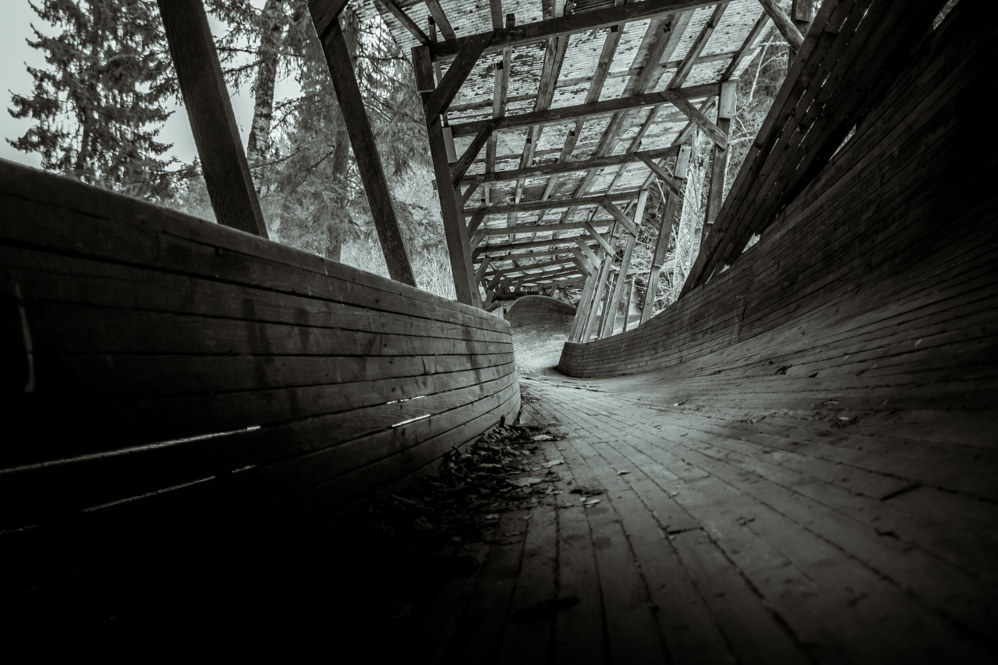 Nikon D5200 sample photo. Abandoned luge track going through the forest photography