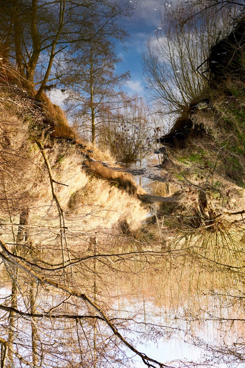 Sony E 35mm F1.8 OSS sample photo. Upside down photography