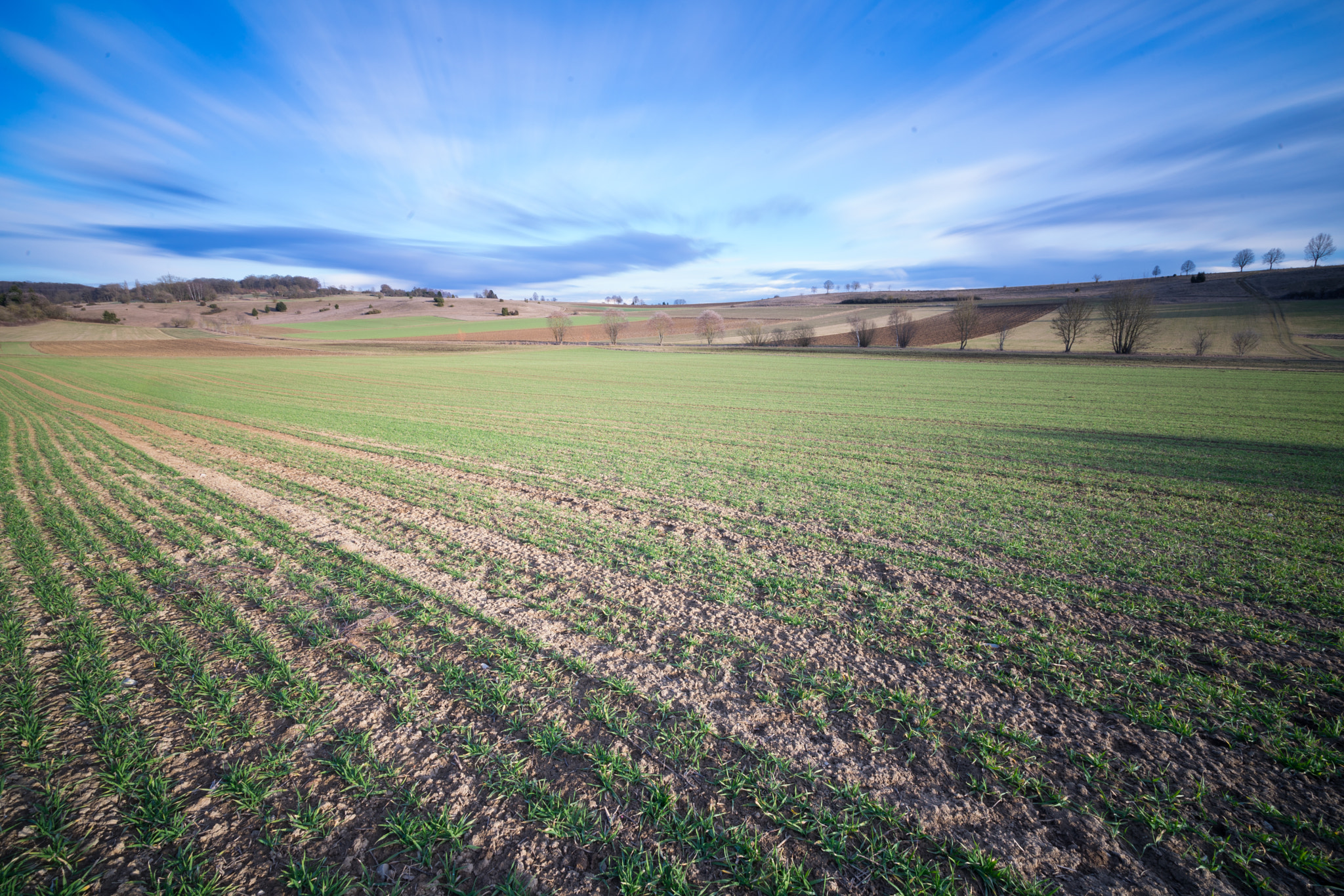 Sony Vario-Sonnar T* 16-35mm F2.8 ZA SSM II sample photo. Dsc photography