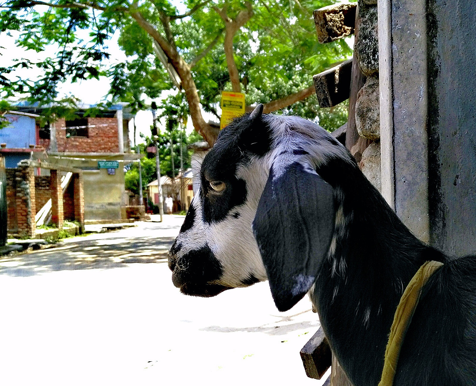 HUAWEI GR5 sample photo