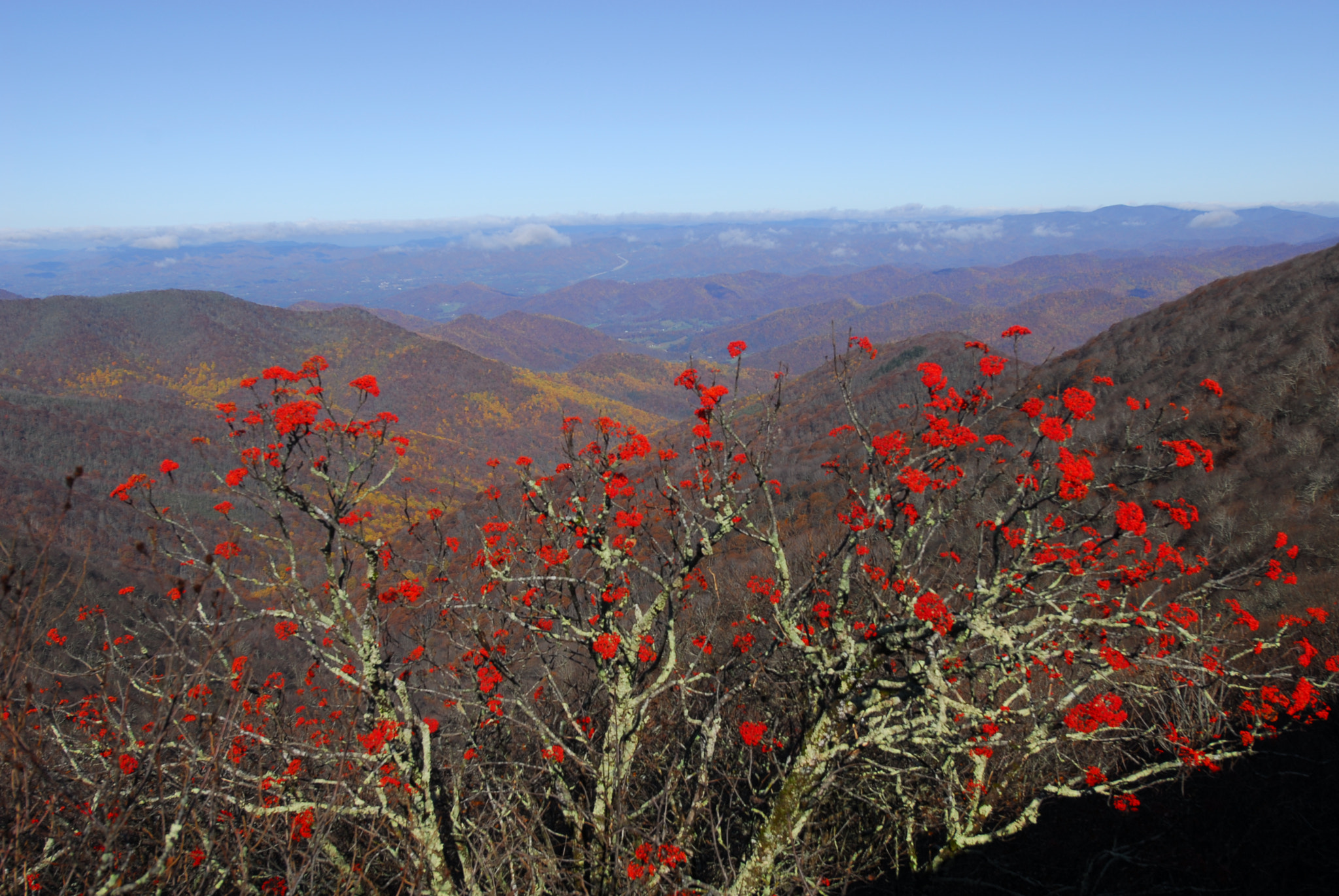 Nikon AF-S Nikkor 14-24mm F2.8G ED sample photo. Autumn photography