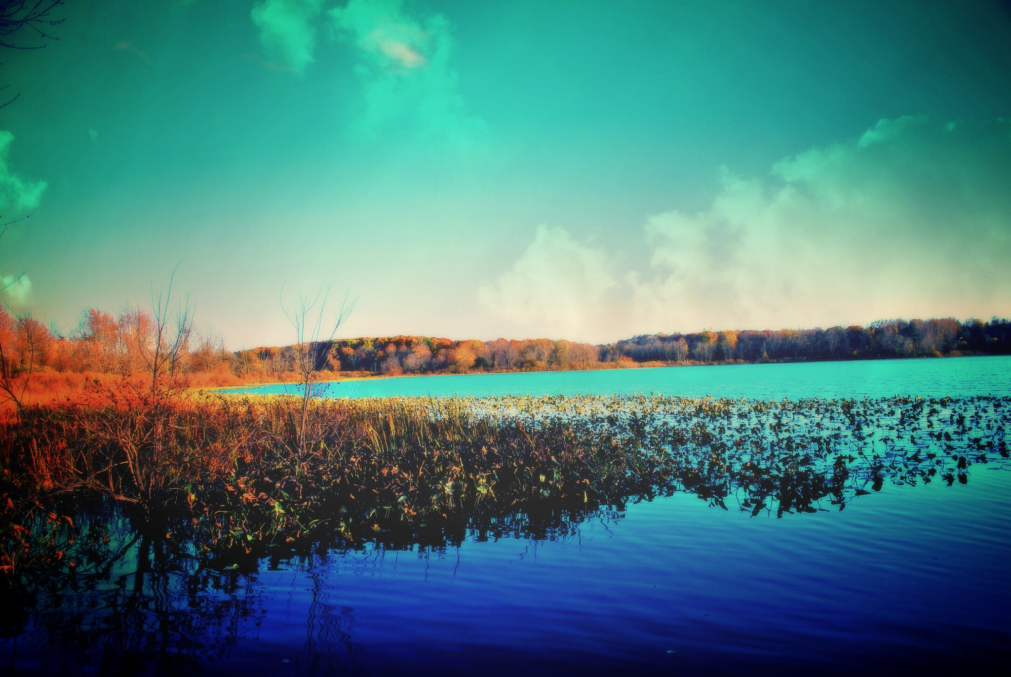 Nikon D80 sample photo. Muskrat lake  photography