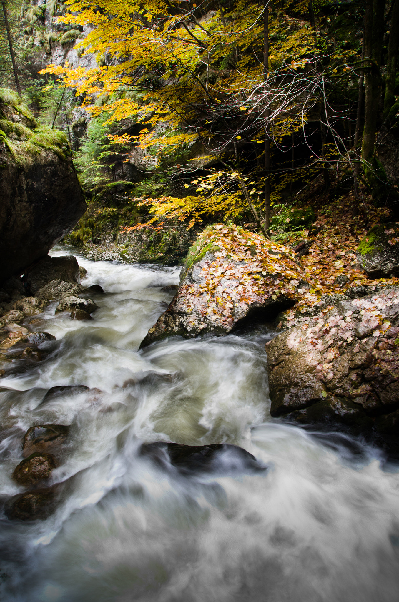 Pentax K-5 sample photo. -autumnal creek- photography