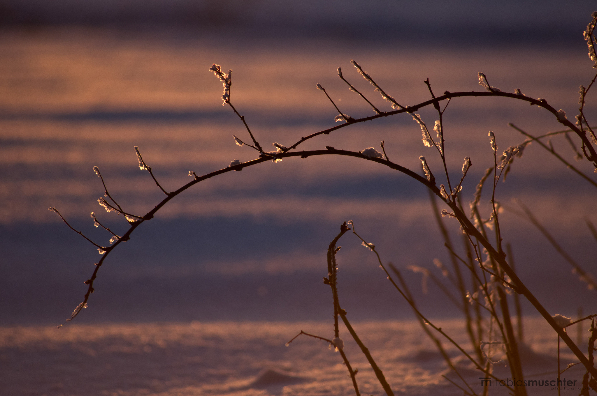 Pentax K-x sample photo. Sunset in snow photography