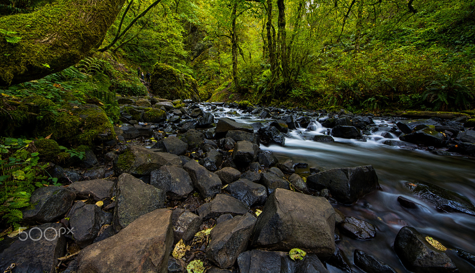 Nikon D7100 + Sigma 8-16mm F4.5-5.6 DC HSM sample photo. Flow photography