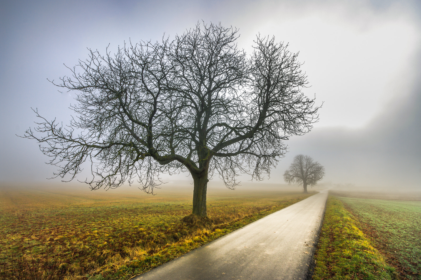 Pentax K20D + Sigma AF 10-20mm F4-5.6 EX DC sample photo. Between sun, fog and rain photography