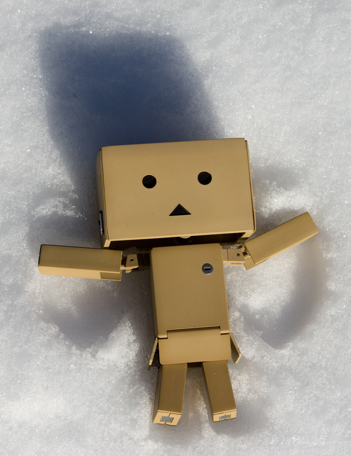 Canon EOS 70D + Canon EF 50mm F2.5 Macro sample photo. Snow angel photography