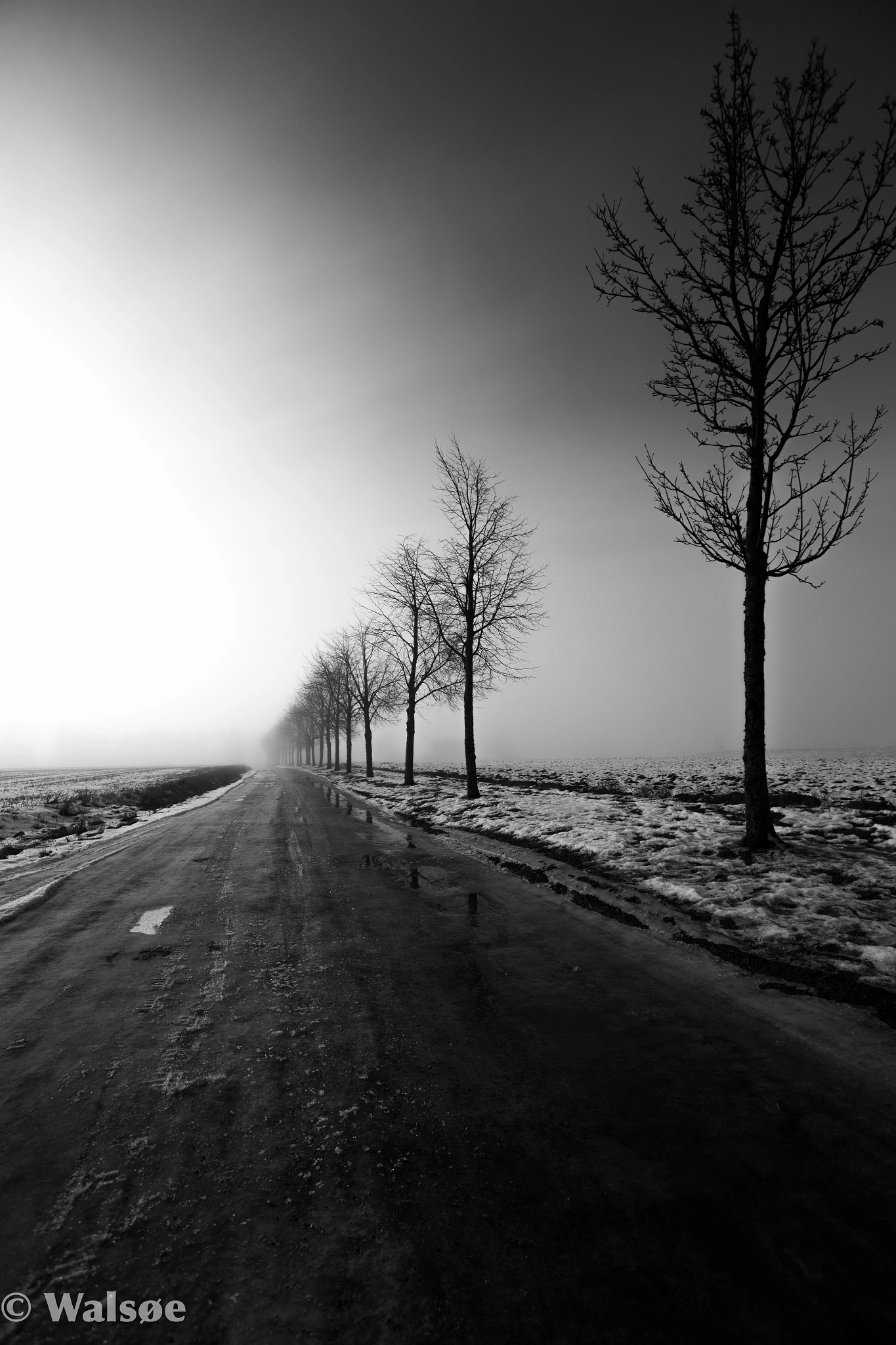 Canon EF 16-35mm F2.8L USM sample photo. Endless road photography