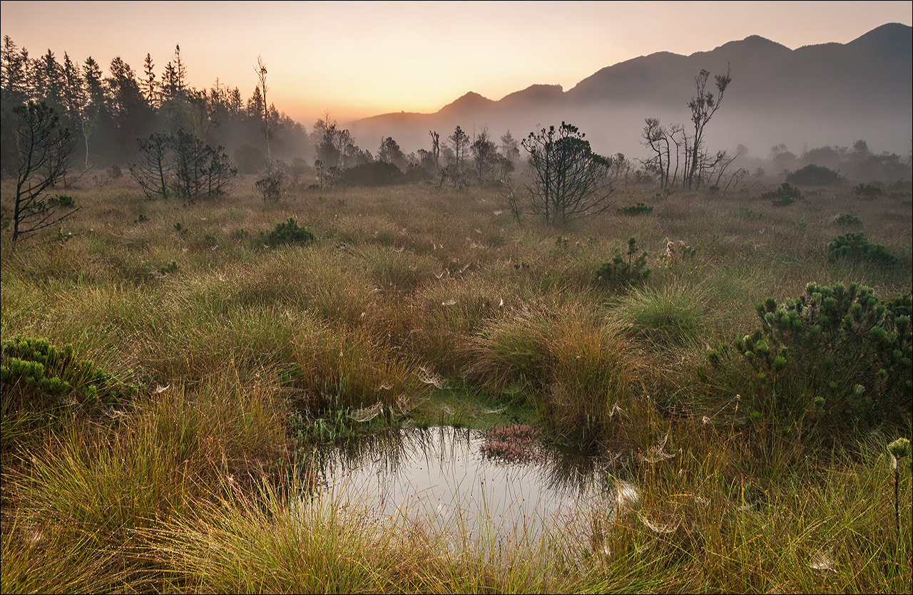 Nikon D300S sample photo. °°° early morning °°° photography