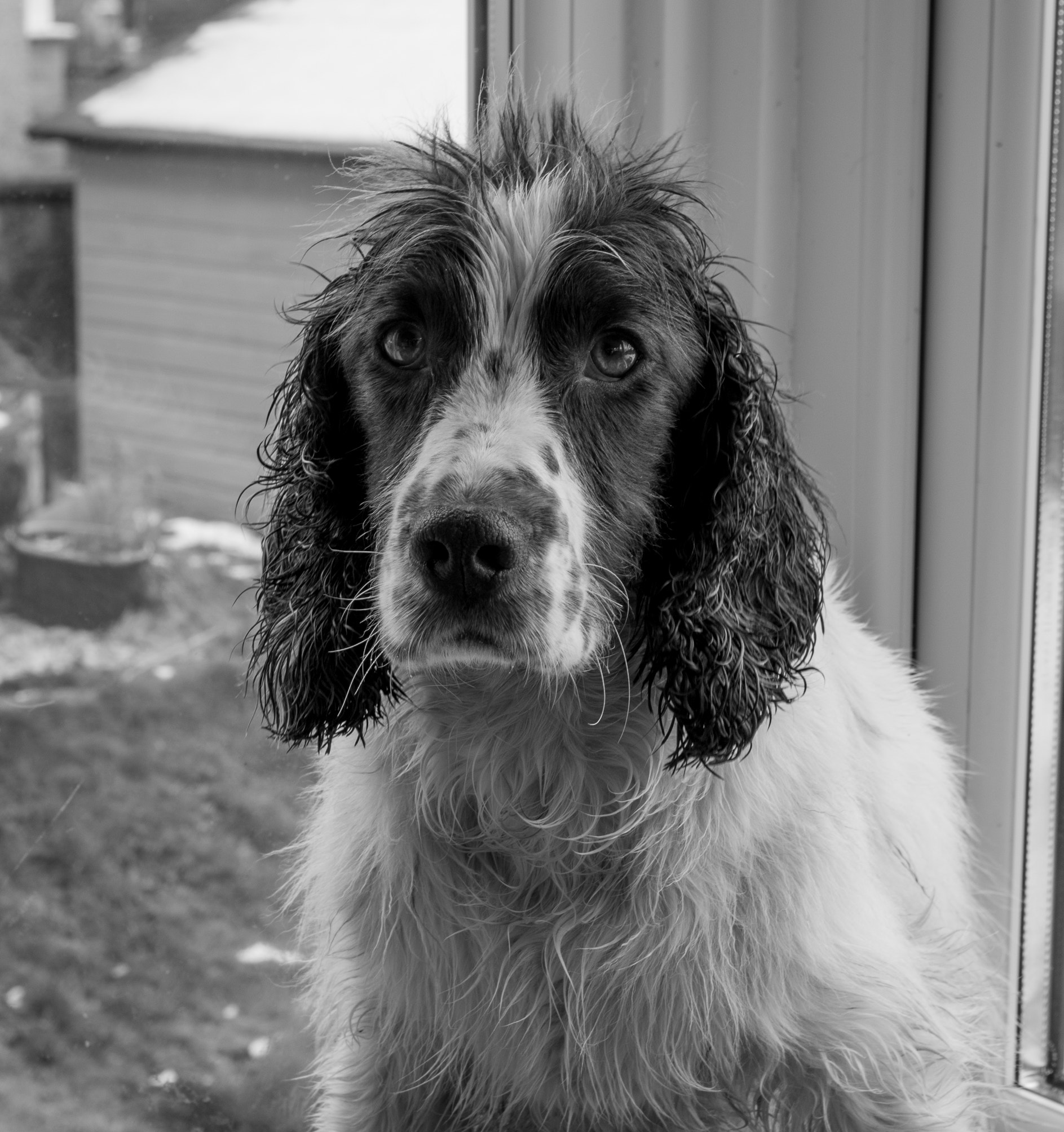 Pentax smc DA 18-55mm F3.5-5.6 AL sample photo. Friday's been awesome! photography