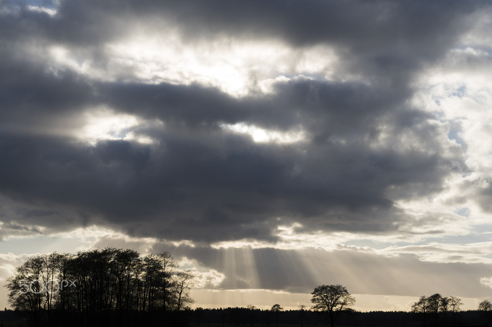 Sony a6300 sample photo. Rays of light, ligtenbergerdijk, rijssen photography