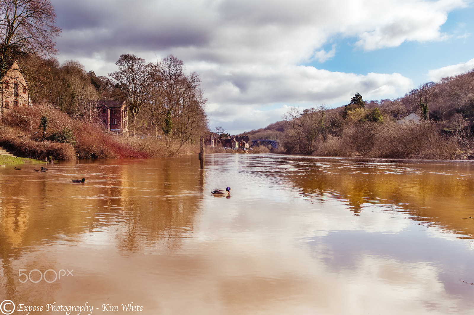 Nikon D500 sample photo. River severn ironbridge photography