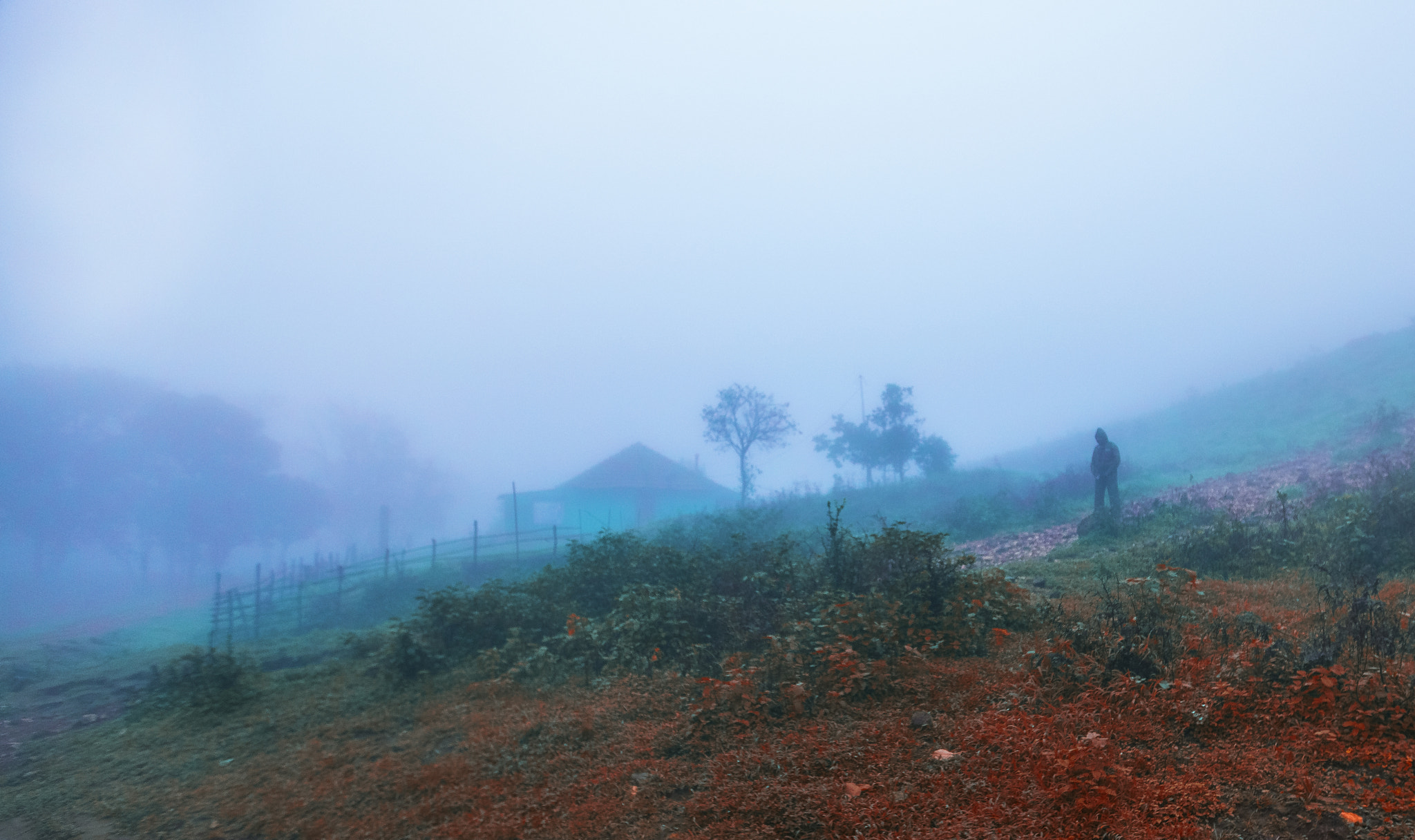 Canon EF 16-35mm F2.8L II USM sample photo. Foggy photography