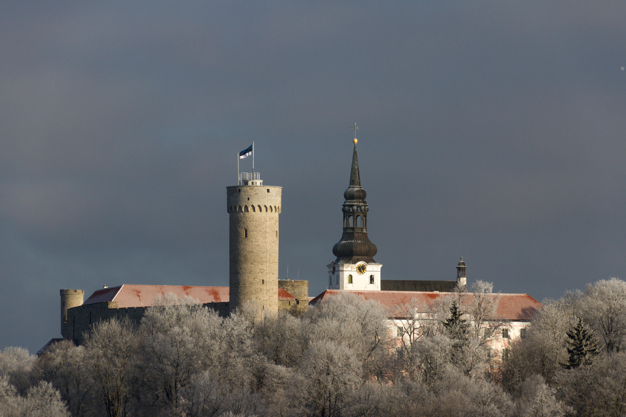 Sigma 18-250mm F3.5-6.3 DC OS HSM sample photo. Img photography