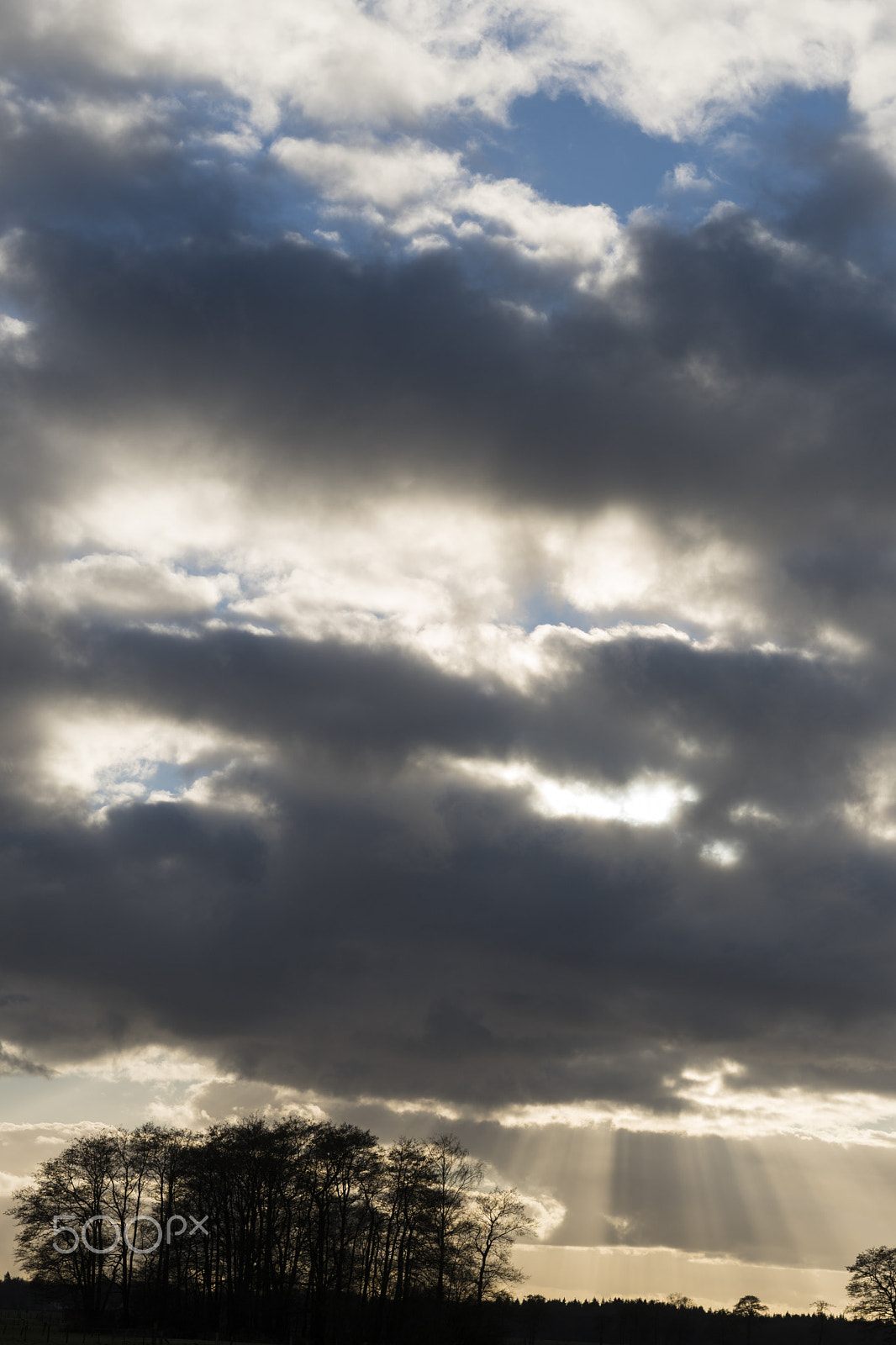 Sony a6300 + Sony Sonnar T* FE 55mm F1.8 ZA sample photo. Rays of light ii, ligtenbergerdijk, rijssen photography