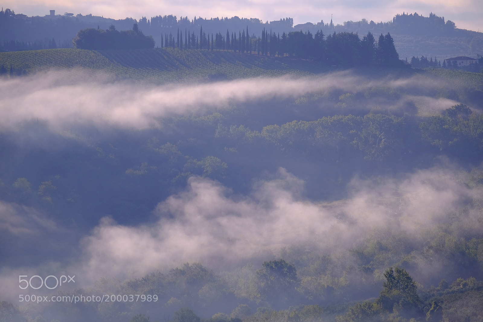 Fujifilm X-T1 sample photo. La gigliola photography