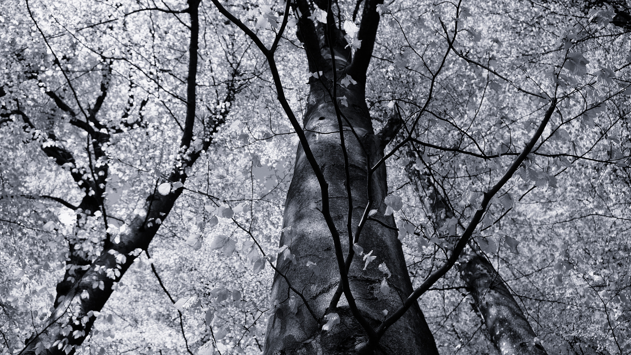 Pentax K-3 sample photo. Untitled photography
