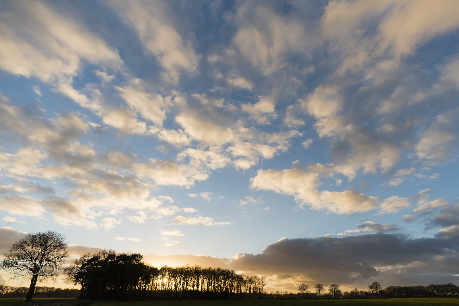 Sony a6300 + ZEISS Touit 12mm F2.8 sample photo. Sunset, veenweg, bathmen, the netherlands photography