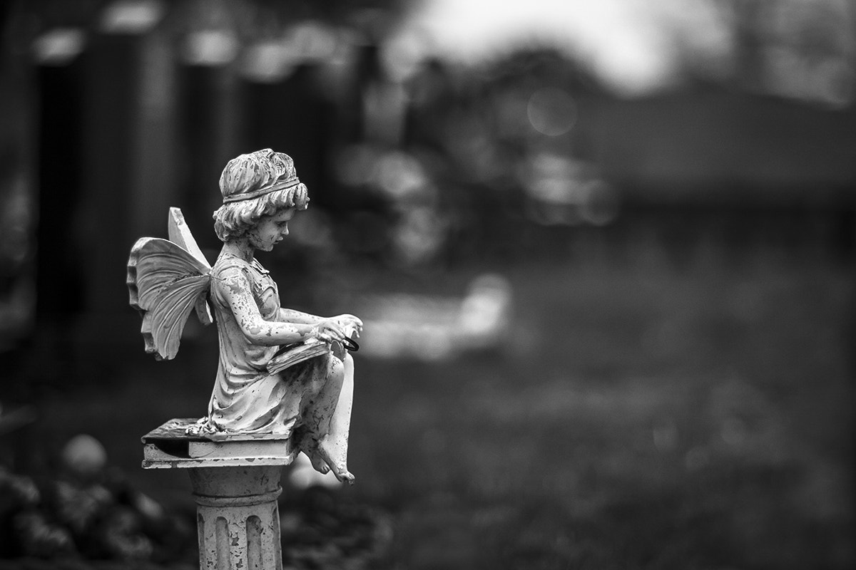 Canon EF 35-80mm f/4-5.6 sample photo. ... photography