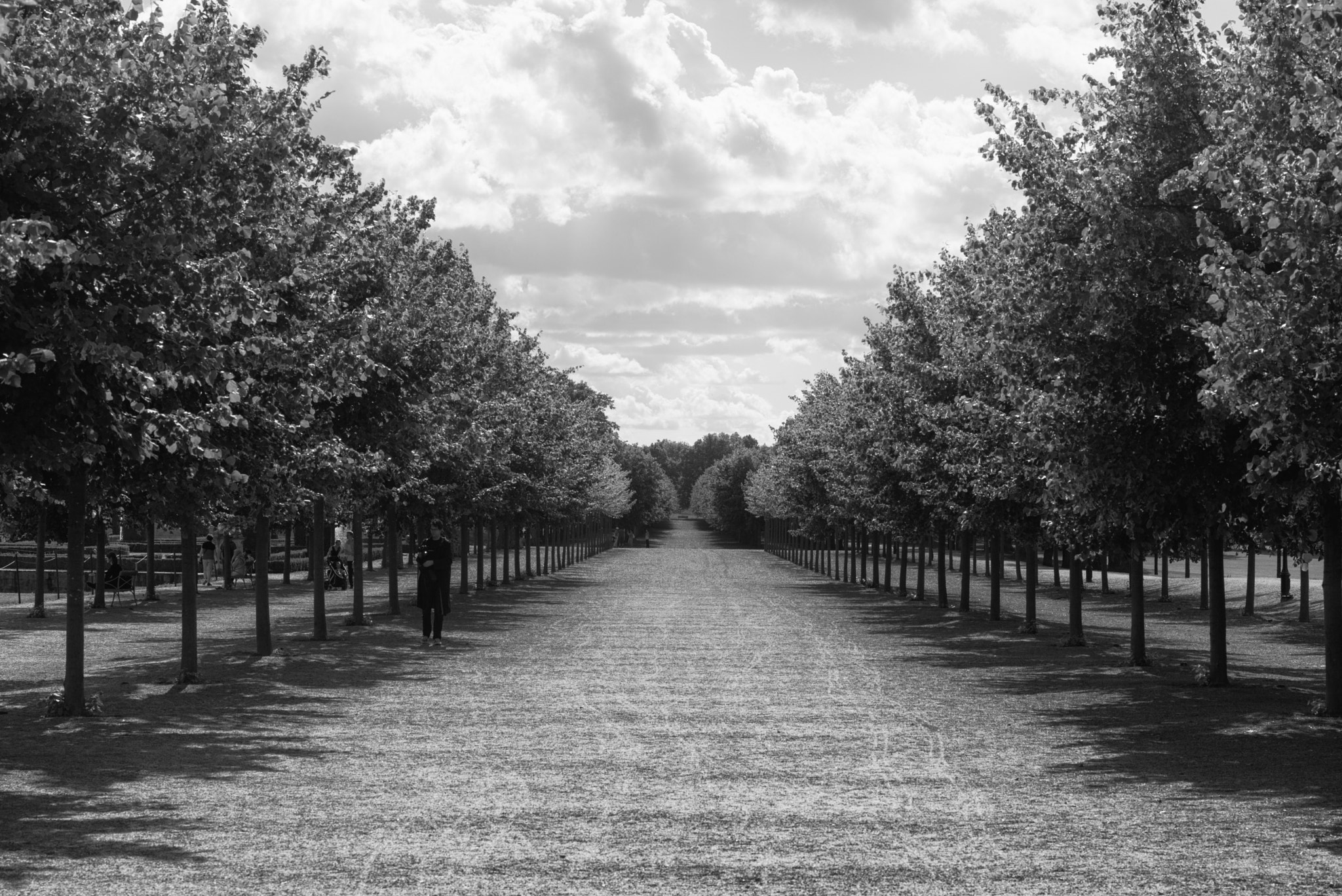 Leica APO-Summicron-M 90mm F2 ASPH sample photo. Drottningholm garden photography