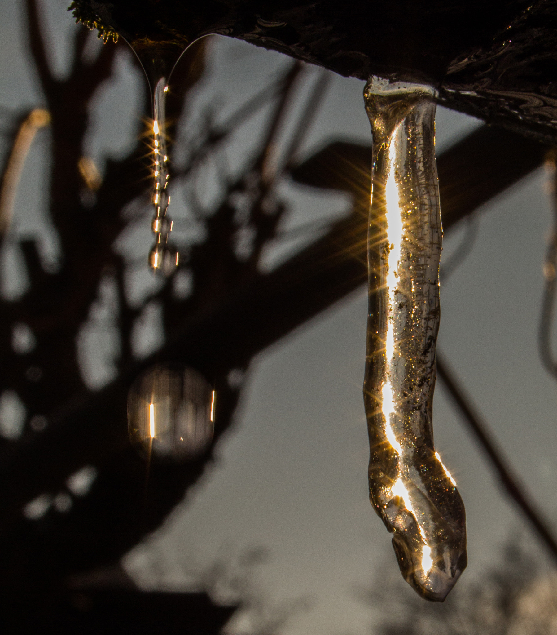 Canon EF-S 18-55mm F3.5-5.6 II sample photo. Ice and water photography