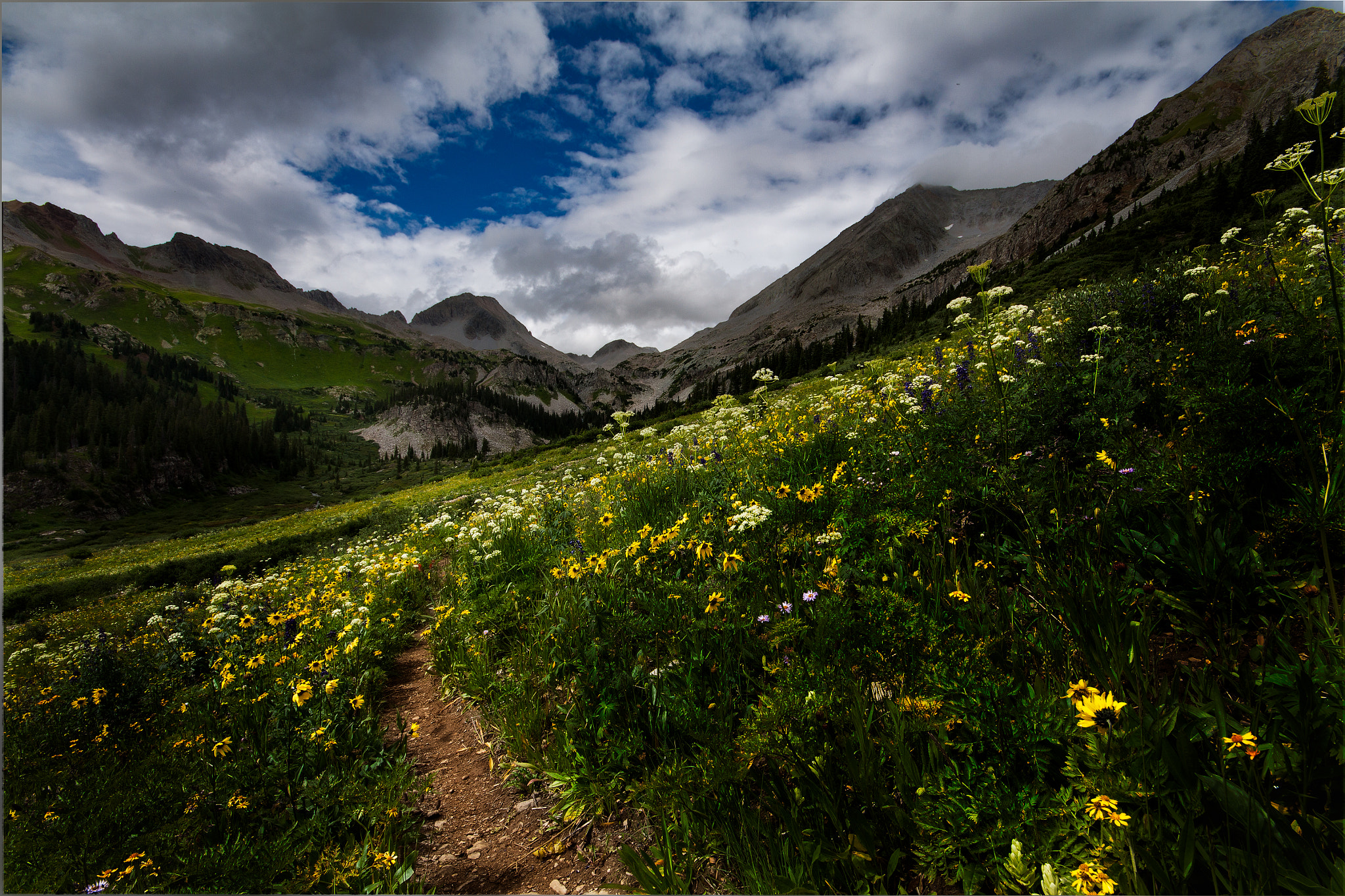 Canon EOS 50D + Sigma 10-20mm F4-5.6 EX DC HSM sample photo. The hills are alive photography