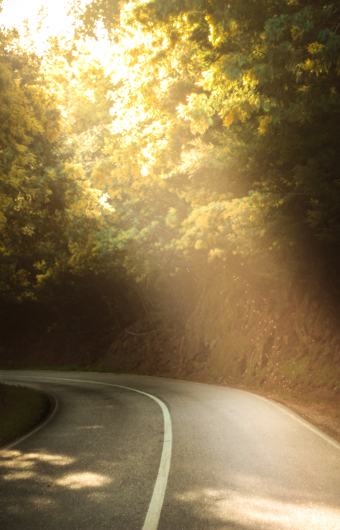 Canon EF 35-80mm f/4-5.6 sample photo. Sunshine photography