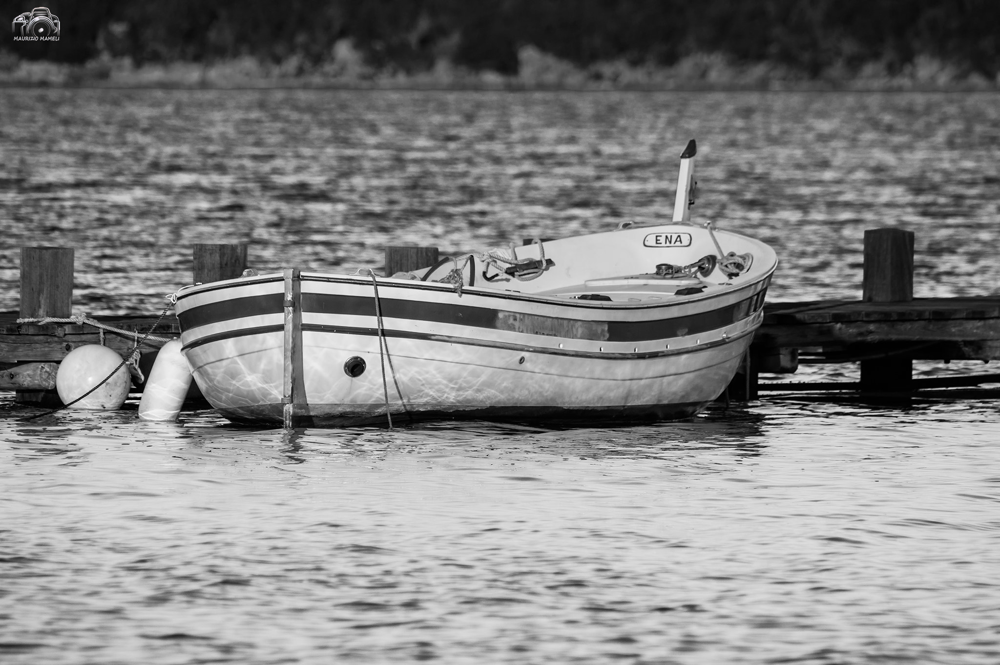 Sigma 150-500mm F5-6.3 DG OS HSM sample photo. Bw photography