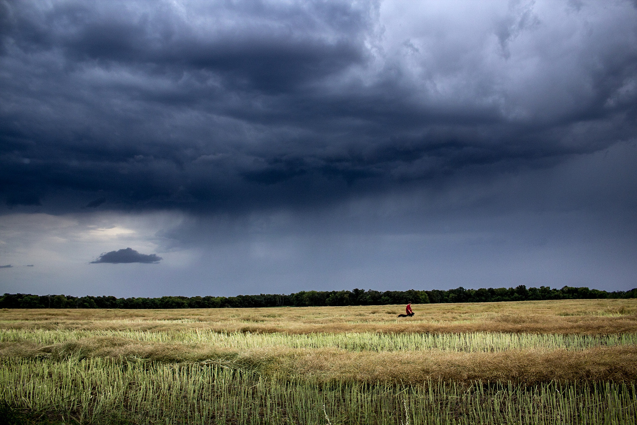 Canon EOS 600D (Rebel EOS T3i / EOS Kiss X5) sample photo. My son and the family dog, a big black lab, out in a field just before a storm rolled in. photography