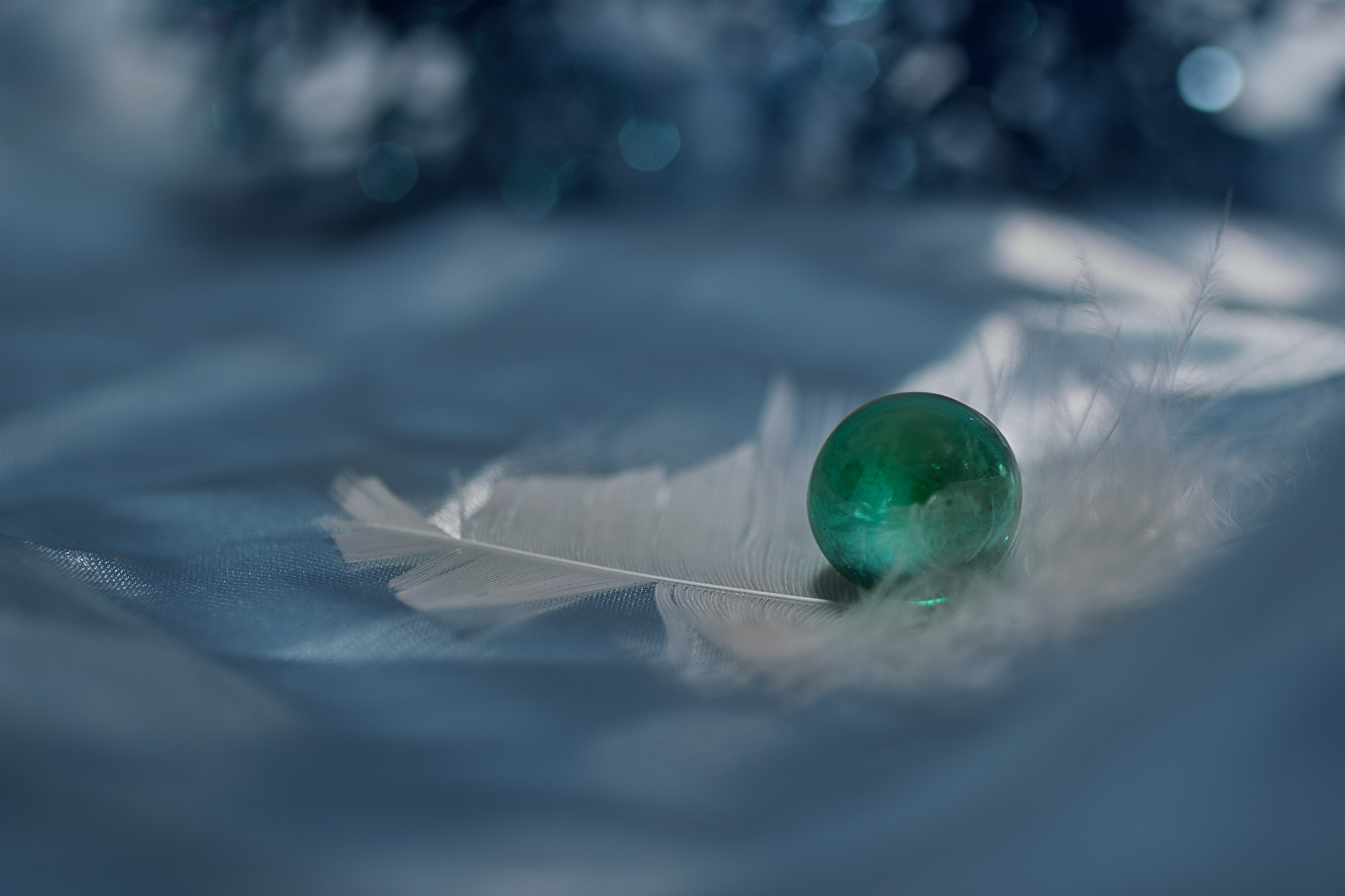 Canon EF 50mm F2.5 Macro sample photo. Surrender to love photography