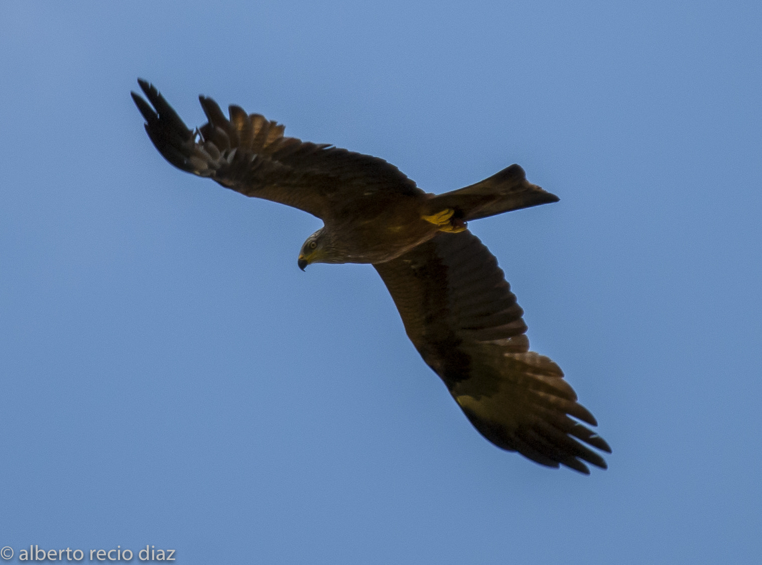 Nikon D200 sample photo. Milano  photography