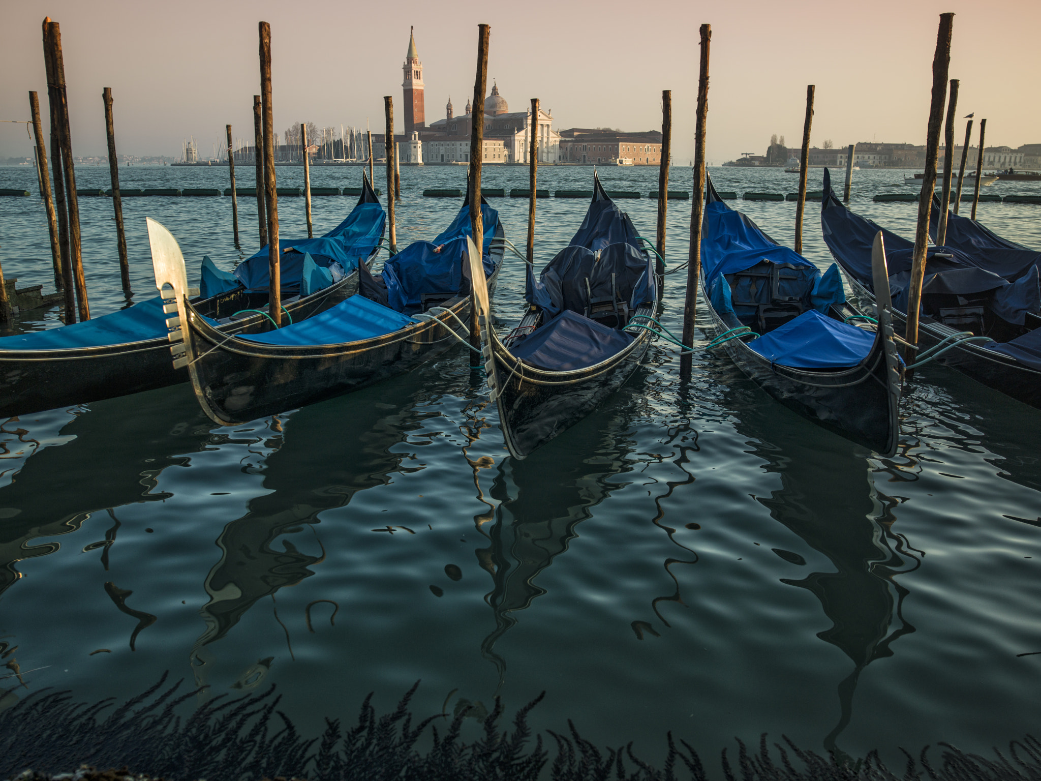 Hasselblad H4D sample photo. Venetian photography