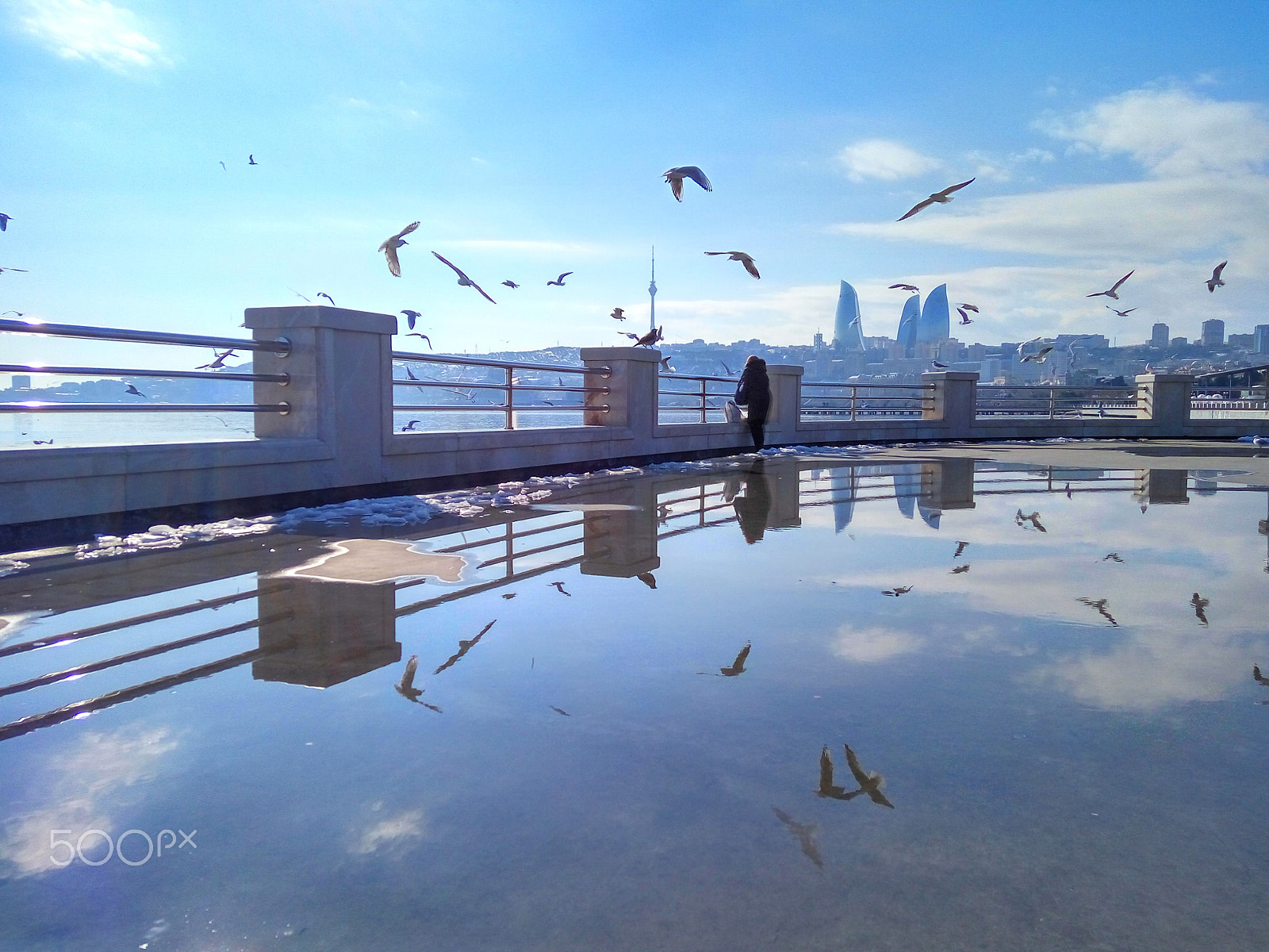 Xiaomi HM Note 2 sample photo. A flock of seagulls reflecting in a puddle after rain on the bou photography
