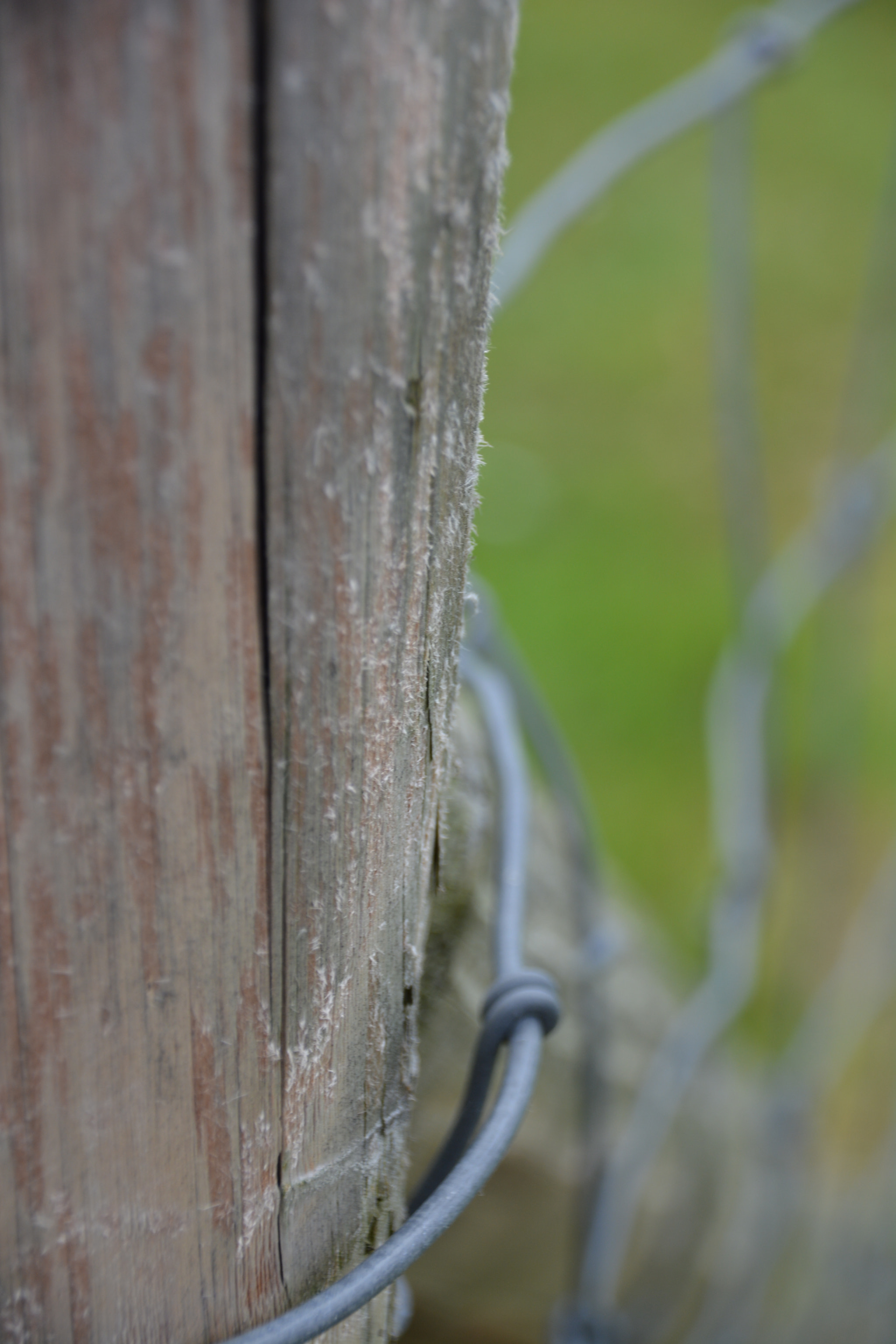 Sigma 18-250mm F3.5-6.3 DC Macro OS HSM sample photo. Gate photography