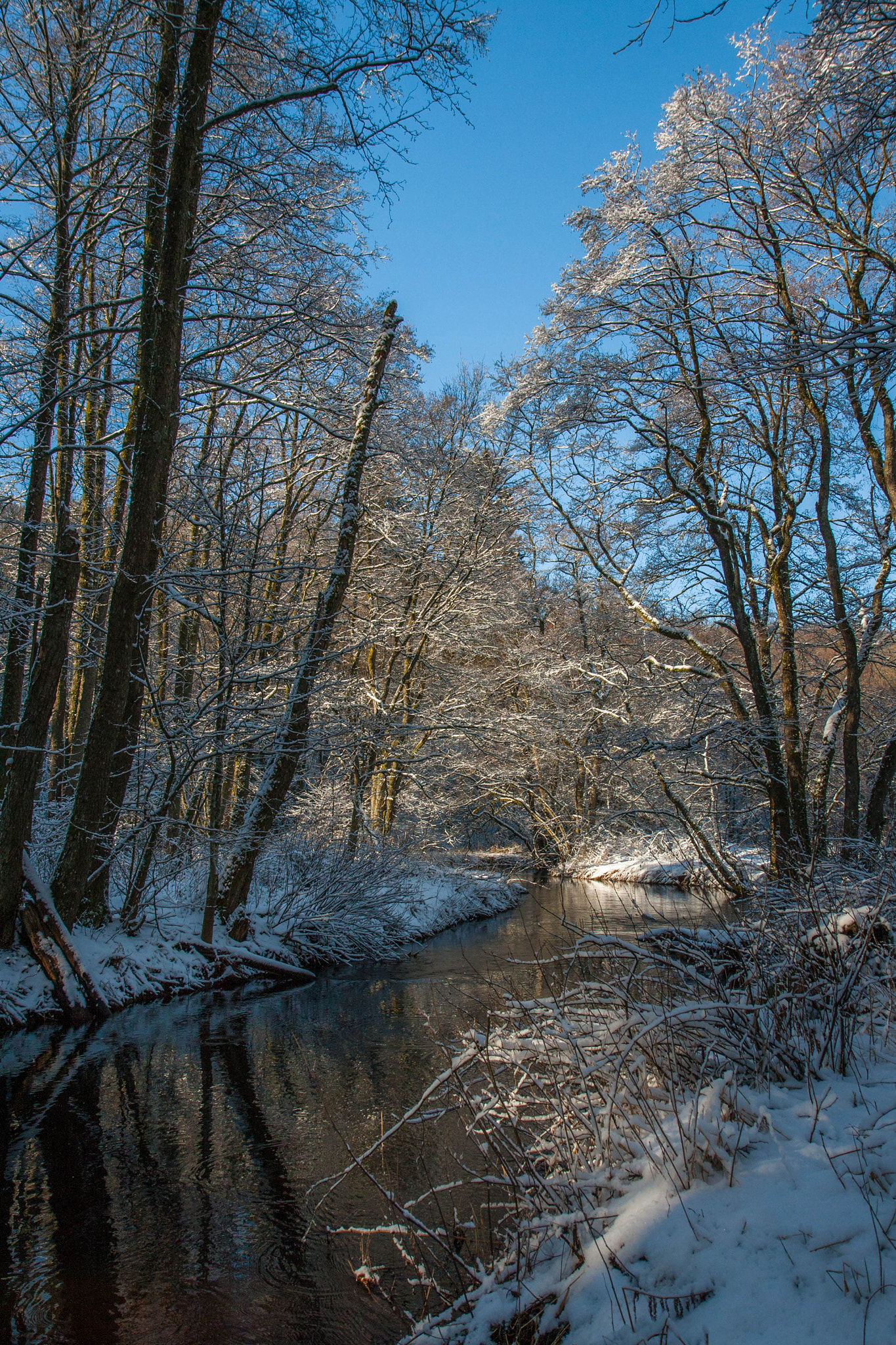 Canon EF-S 17-55mm F2.8 IS USM sample photo. Hike in southern sweden photography