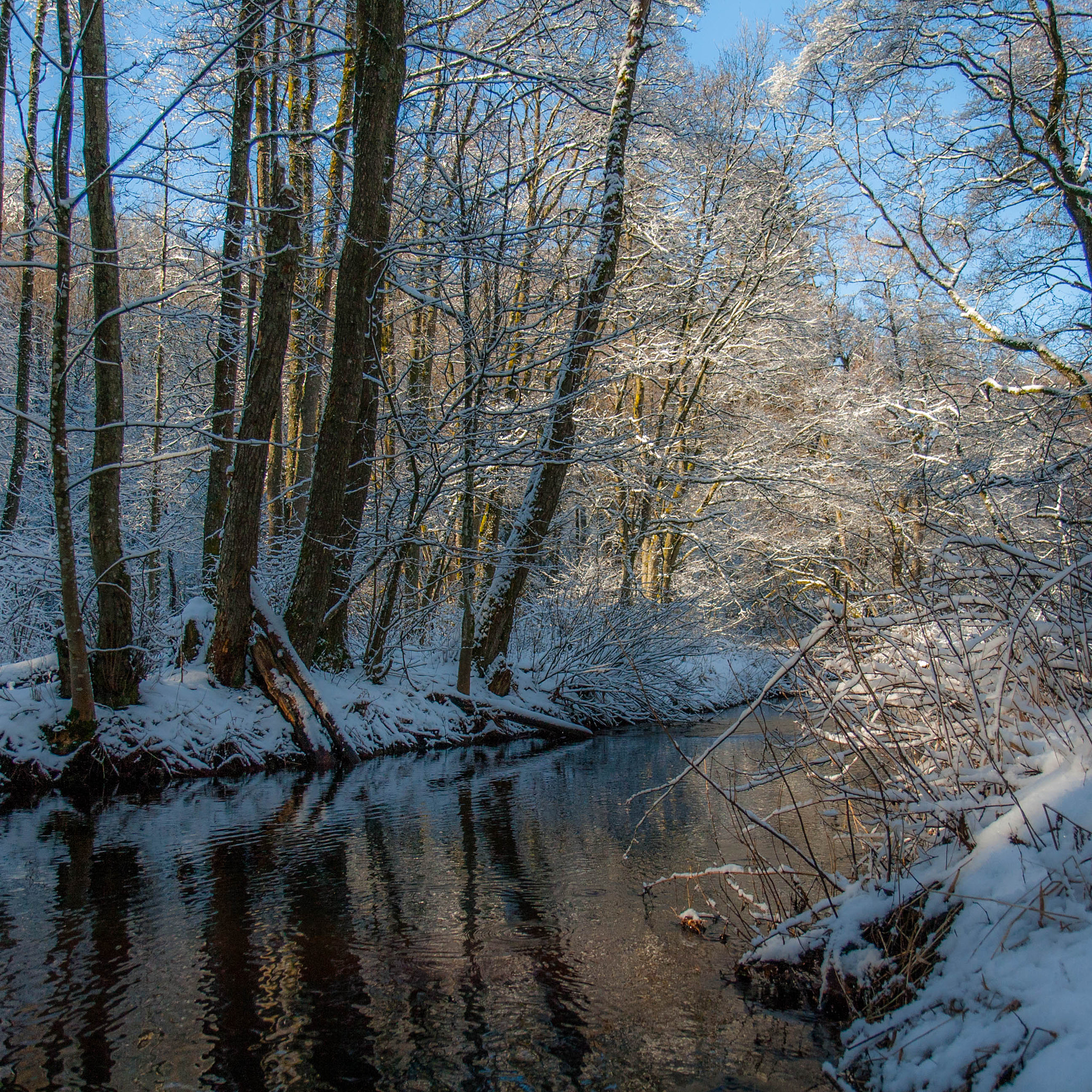 Canon EF-S 17-55mm F2.8 IS USM sample photo. Hike in southern sweden photography