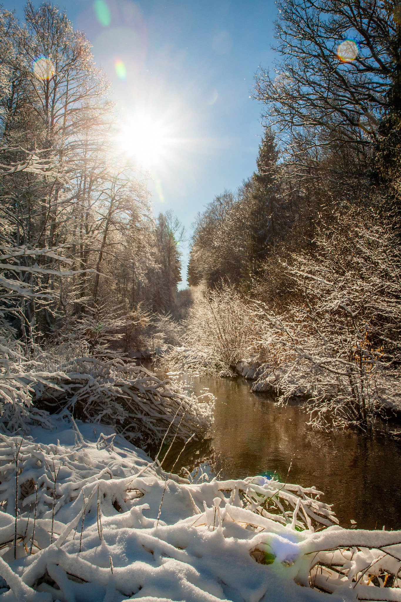 Canon EF-S 17-55mm F2.8 IS USM sample photo. Hike in southern sweden photography