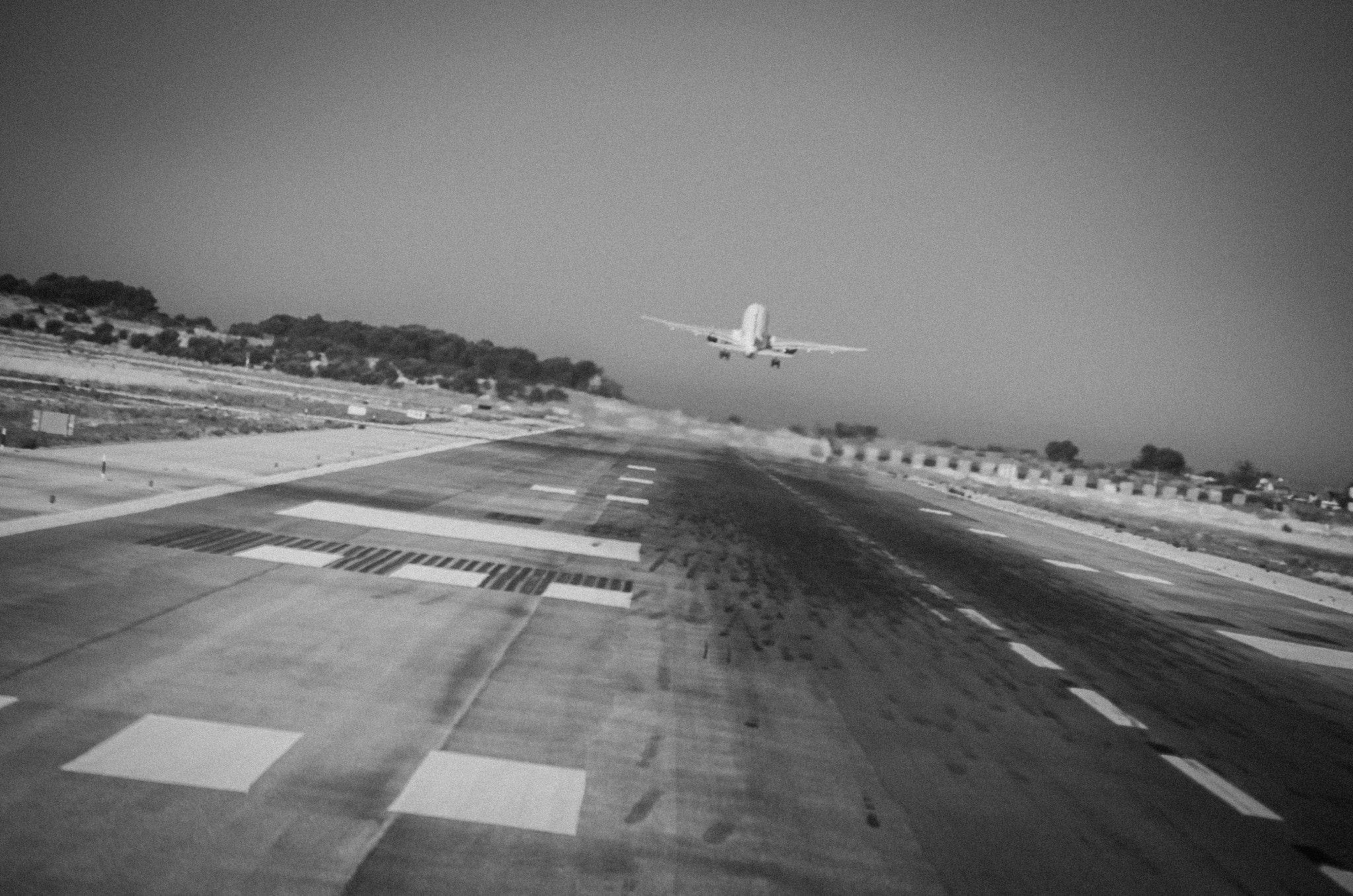 Sigma 18-250mm F3.5-6.3 DC OS HSM sample photo. Fly away... photography
