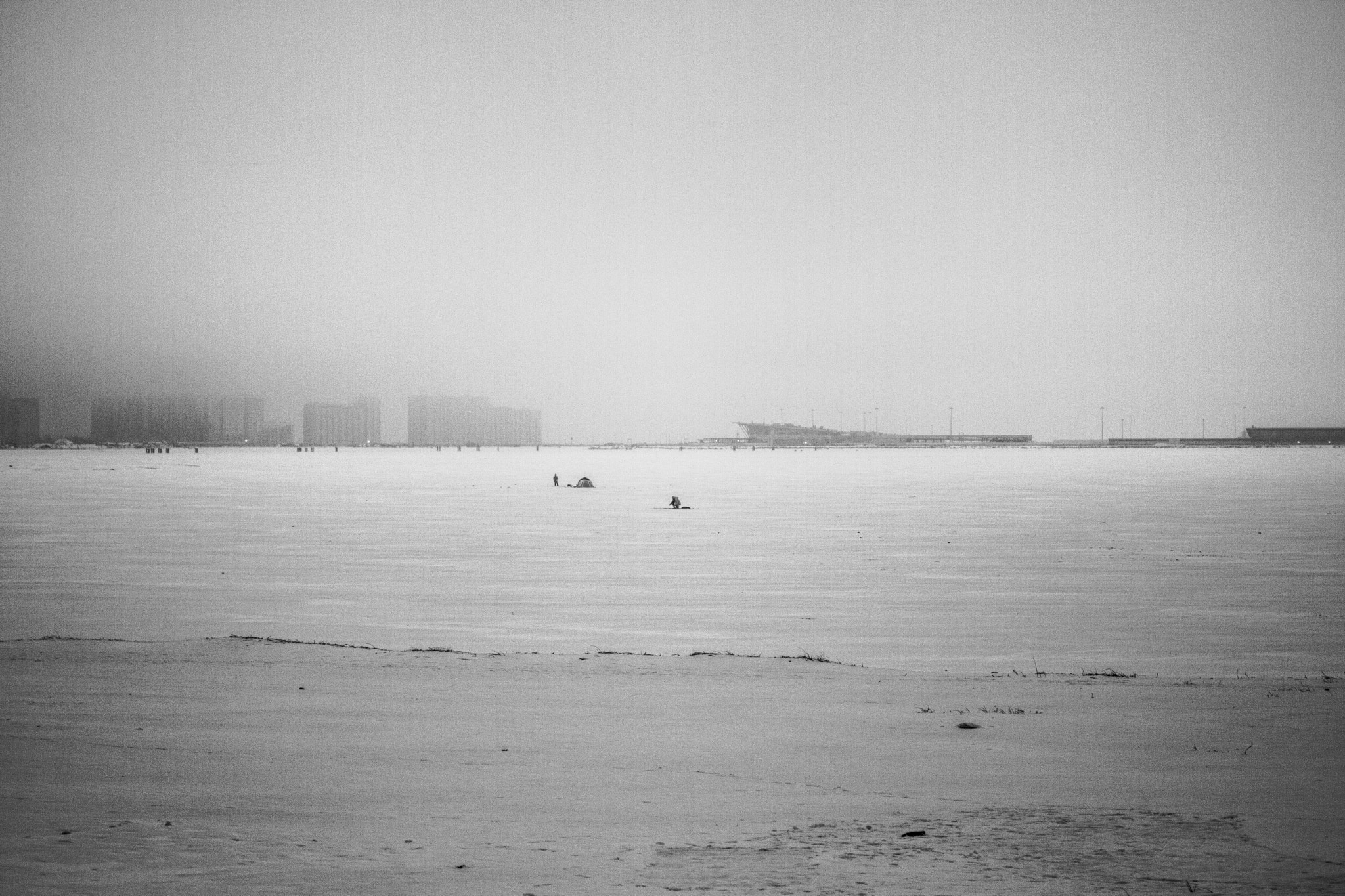 24.0 - 70.0 mm sample photo. Foggy photography