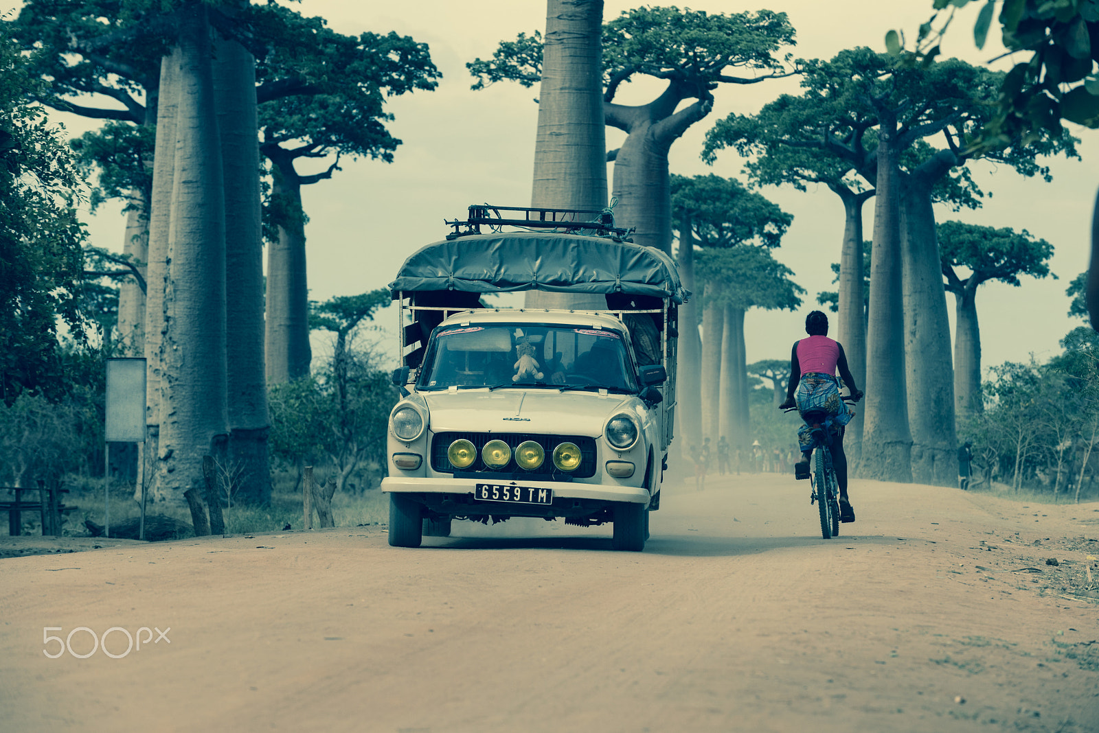 Nikon D750 sample photo. Baobab street photography