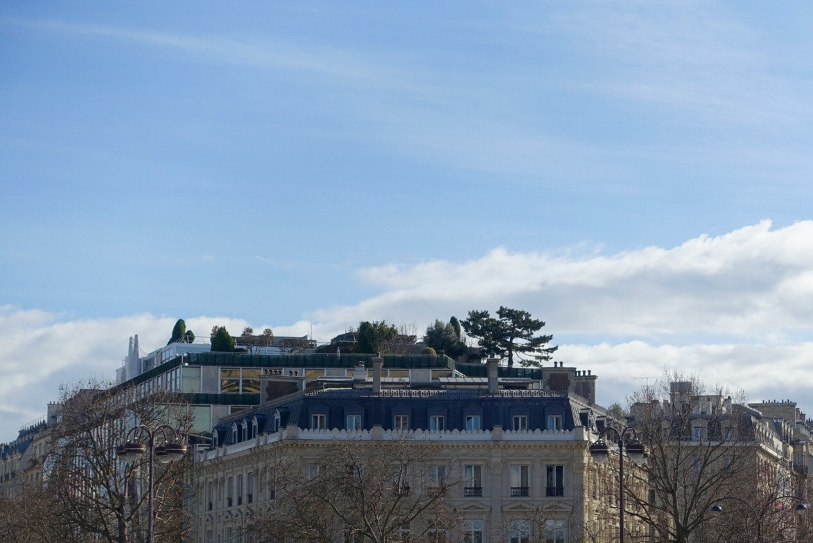 Sony Cyber-shot DSC-RX100 III + Sony 24-70mm F1.8-2.8 sample photo. A garden on a roof, paris, february 2017 photography