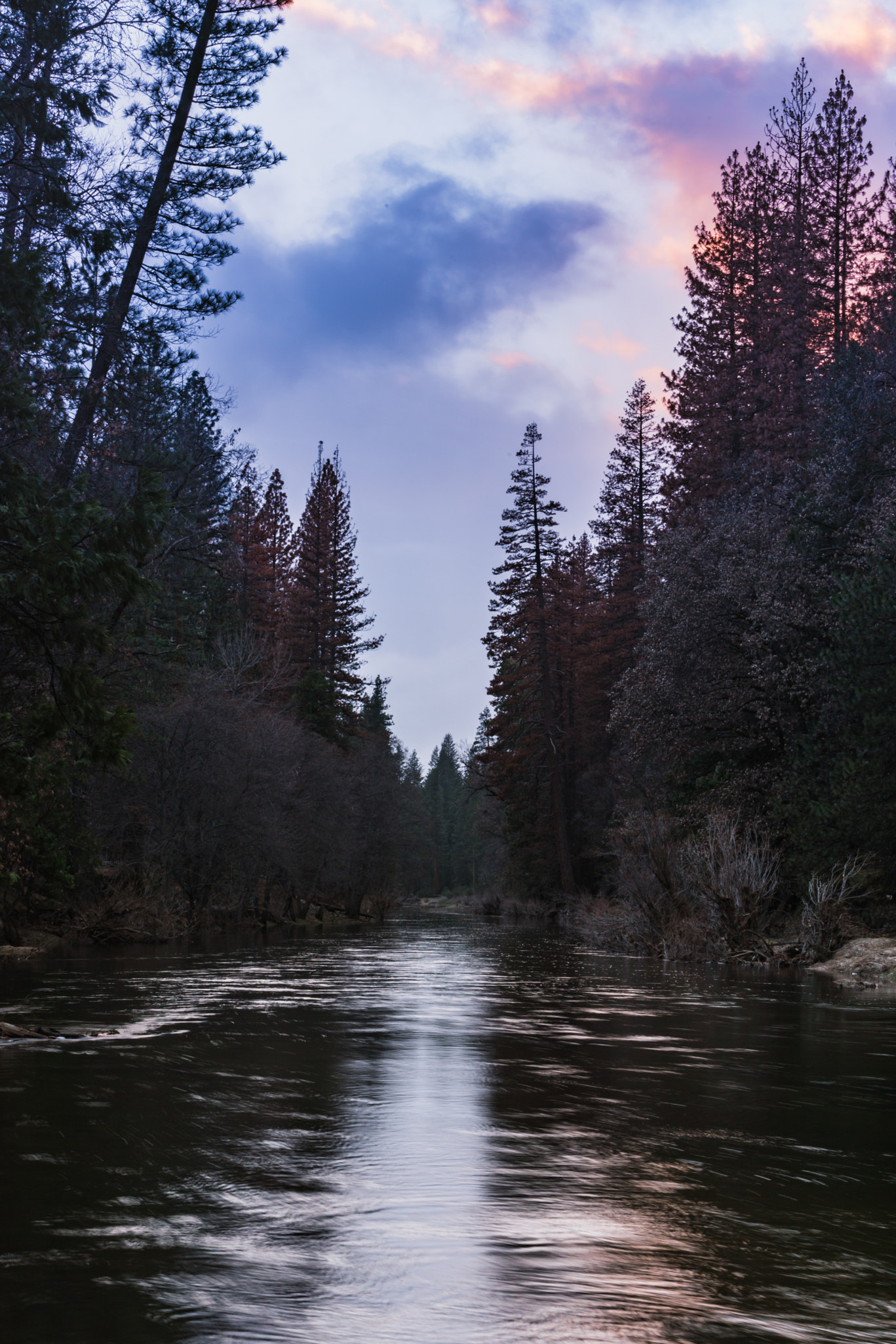 Sigma 18-200mm F3.5-6.3 DC OS HSM sample photo. Moody merced river photography